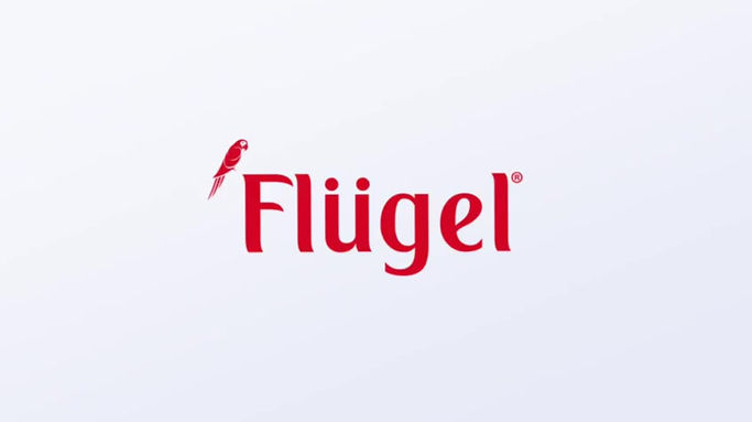Flugel Logo Animation - Intro